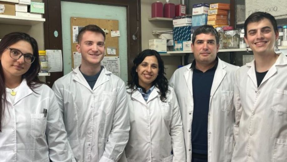 Grupo de investigación del Instituto de Estudios de la Inmunidad Humoral (Idehu, UBA-Conicet), Facultad de Farmacia y Bioquímica. Laura Sobrado, Valentín Yzetta, Maria Noé Garcia, Daniel Grasso y Maximiliano Diaz. Foto: Conicet.