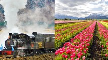 Imagen de La Trochita se prepara para la temporada de tulipanes en Chubut: cuánto cuesta viajar en el tren histórico