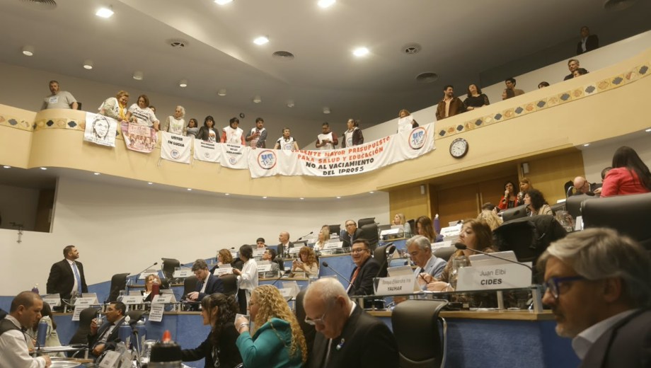 La Legislatura aprobó distintas iniciativas presentadas por el Ejecutivo. Foto: Pablo Leguizamon.