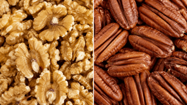 Nuez común y nuez pecán: qué diferencias tienen y cuál aporta más nutrientes