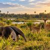 Imagen de La estancia ganadera de 12.000 hectáreas que se convirtió en parque nacional y logró que regresaran especies desaparecidas