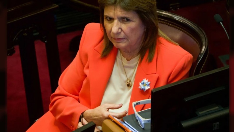 La jefa del bloque oficialista, Patricia Bullrich, se refirió al recorte en Discapacidad. Foto: Gentileza NA.