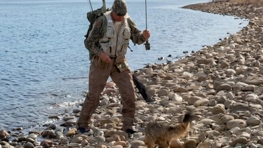 Pescaba en la Patagonia, sacó una trucha, un zorro se la robó y quedó filmado