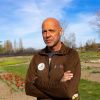 Imagen de El "lugar soñado" de la Patagonia: una estancia de Guardia Mitre combina producción, turismo y tulipanes