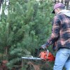 Imagen de Un pueblo de Neuquén se une contra una especie invasora que "ahoga al bosque nativo"