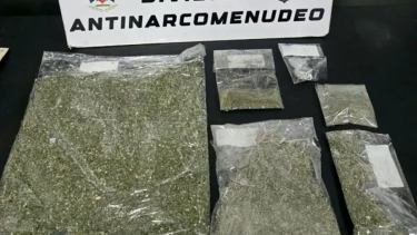 Tres detenidos y más de medio kilo de marihuana secuestrado en un allanamiento en Neuquén
