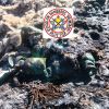 Imagen de Ocultaron garrafas con un "tóxico mortal" y dos bomberos terminaron hospitalizados tras un incendio en Plottier