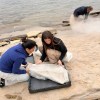 Imagen de La UNCo anunció el hallazgo de una "cápsula del tiempo del Cretácico" en el lago Mari Menuco: de qué se trata