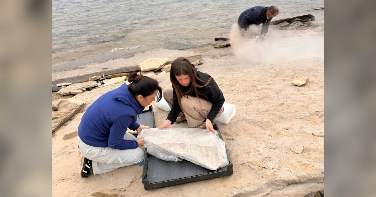Descubren una cápsula del tiempo del Cretácico en el lago Mari Menuco