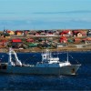 Imagen de Islas Malvinas: denuncian por contrabando a pesqueras que operan en el mar argentino con licencias británicas