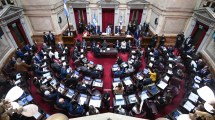 Imagen de Cómo votaron los senadores de Neuquén, Río Negro y la Patagonia el nuevo régimen de Inocencia Fiscal