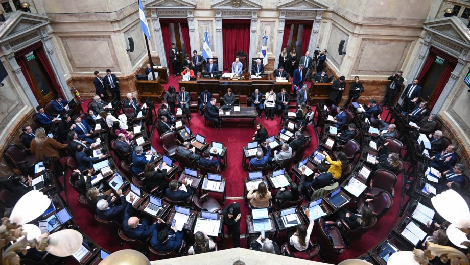 Foto: Senado de la Nación (archivo). 