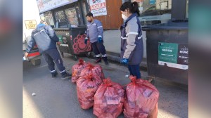 Hallan más de 30 kilos de medicamentos tirados en Neuquén: «Estamos preocupados», dijeron desde el municipio