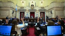 Imagen de Cómo votaron los senadores de Neuquén, Río Negro y la Patagonia los cambios en el Régimen de Zona Fría
