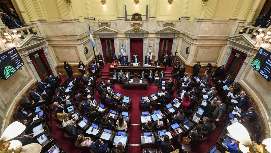 Foto: Senado de la Nación. 