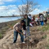 Imagen de Finalizó en San Javier la campaña provincial "Se Planta" para recuperar el sauce criollo