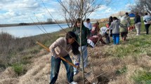 Imagen de Finalizó en San Javier la campaña provincial «Se Planta» para recuperar el sauce criollo