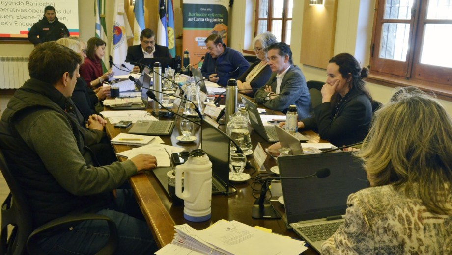 El Concejo Deliberante de Bariloche aprobó un aumento del estacionamiento medido. Foto: Chino Leiva