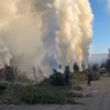 Imagen de Poda preventiva: en Bariloche y El Bolsón se otorgaron más permisos de quema que otras temporadas