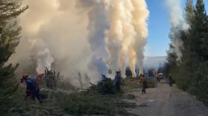 Poda preventiva: en Bariloche y El Bolsón se otorgaron más permisos de quema que otras temporadas