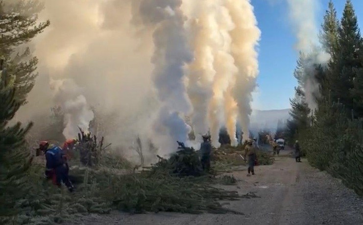 Los permisos de quema se deben gestionar en invierno. El plazo termina el 2 de octubre. Gentileza