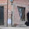 Imagen de Homicidio de Mauricio Molinez en Roca: dictan prisión domiciliaria al adolescente imputado por el crimen