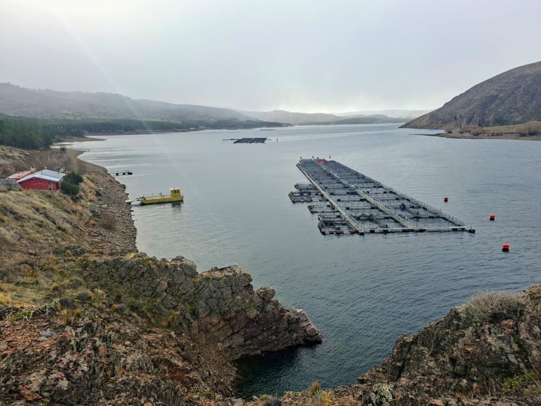 Neuquén proyecta un polo exportador de truchas sin antibióticos desde el río Limay