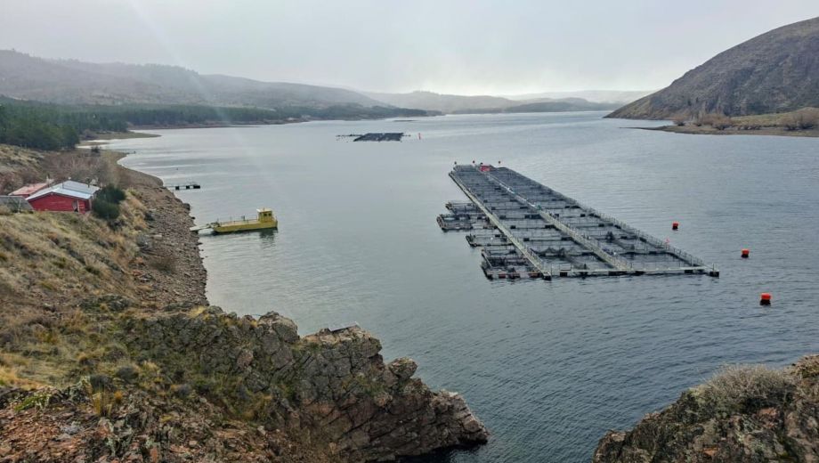 La producción se concentra en los embalses de Piedra del Águila y Alicurá. Foto: gentileza. 