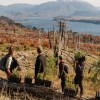 Imagen de Unelen celebra 40 años sembrando futuro junto a Amigos de la Patagonia