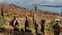 Imagen de Unelen celebra 40 años sembrando futuro junto a Amigos de la Patagonia
