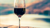 Imagen de Vino a la Montaña: La feria de bodegas de la Patagonia tendrá una nueva edición en octubre en San Martín de los Andes