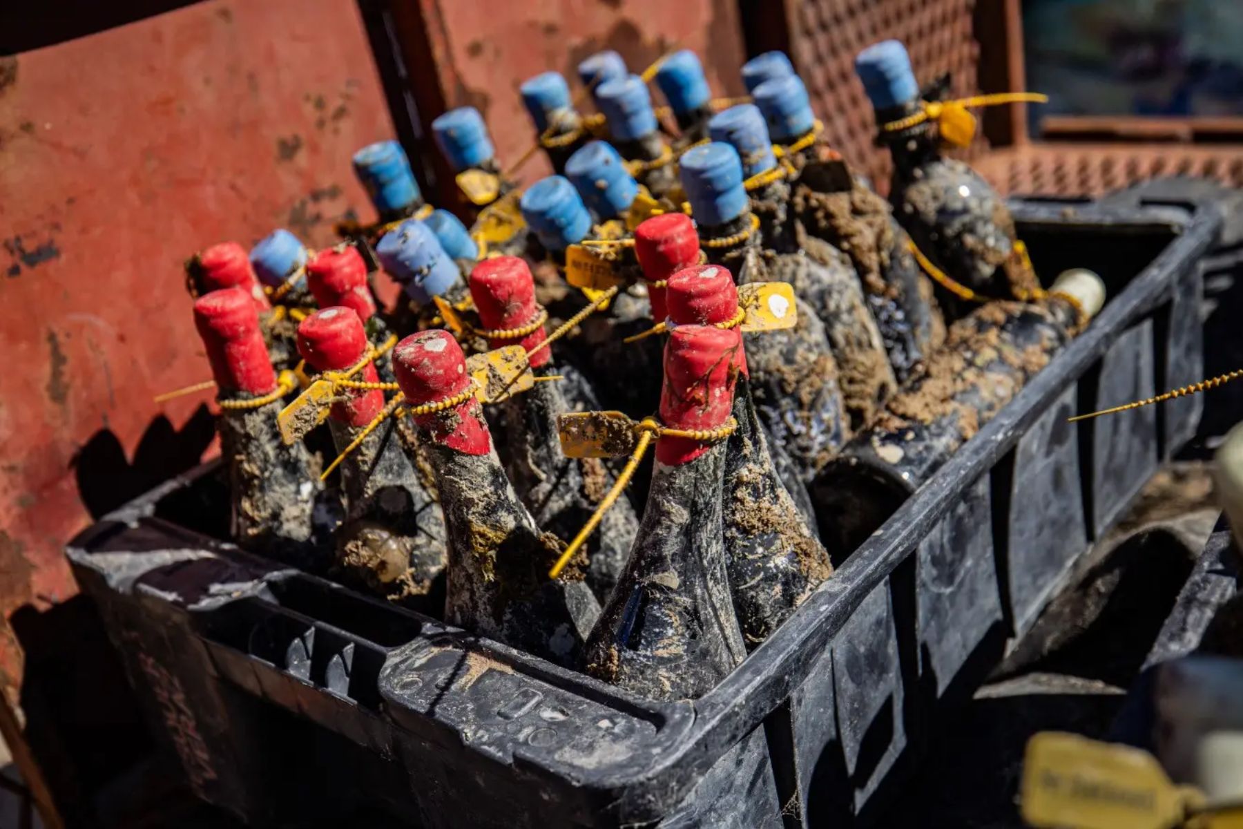 Río Negro lanza una nueva etapa de cavas submarinas para vinos