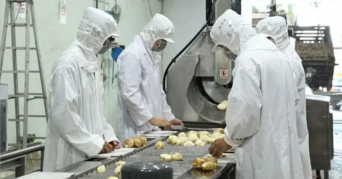 Río Negro implementa programa de financiamiento de hasta $500 millones para productores