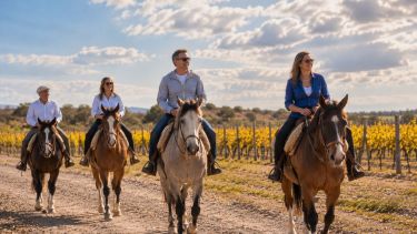 Córdoba a caballo: travesías por las sierras, noches bajo las estrellas y experiencias únicas