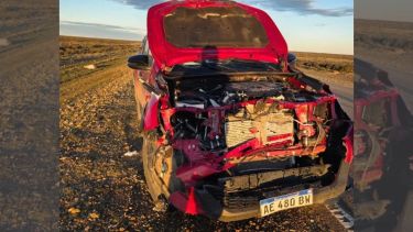 Un exgobernador de Santa Cruz sufrió un accidente la Ruta Nacional 3 al chocar con un guanaco