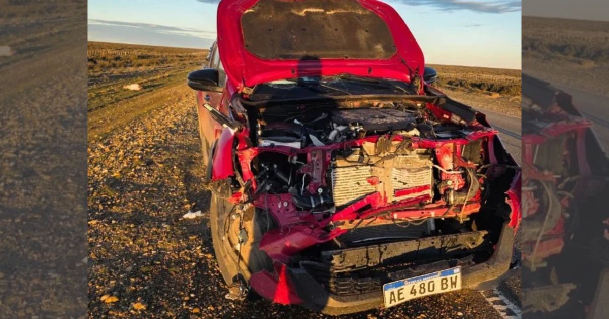 Accidente de exgobernador de Santa Cruz en la Ruta 3 por un guanaco