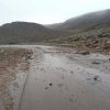 Imagen de Inundaciones en la Ruta 40 por la lluvia en Neuquén: la crecida de un arroyo impide el tránsito, piden circular con precaución