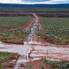 Imagen de Alerta en todas las rutas de Neuquén: Vialidad Nacional solicitó circular con extrema precaución por tormentas