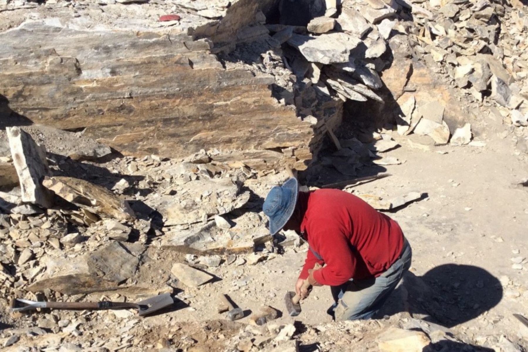 Los Menucos creará un centro para estudiar fósiles, volcanes y minerales