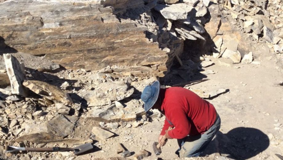 El suelo conserva rocas volcánicas y estratos minerales con más de 200 millones de años de historia. (Foto: UNRN)