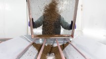 Imagen de Liberan más de 1.000 millones de moscas en la Patagonia para proteger los frutales de una plaga peligrosa a nivel mundial
