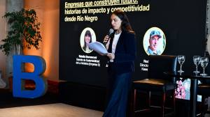 Río Negro es una de las cinco provincias del país con más empresas de impacto positivo