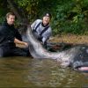Imagen de Pescaron un bagre gigante y descubrieron que habían batido un récord mundial