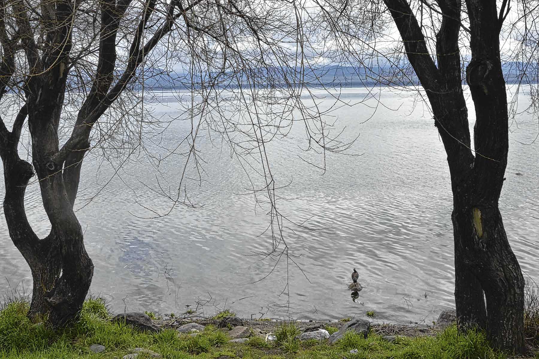 Encontraron el cuerpo de un hombre en la costa del lago Nahuel Huapi: buscan identificarlo e investigan las causas de mu