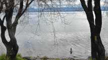 Imagen de Encontraron el cuerpo de un hombre en la costa del lago Nahuel Huapi: buscan identificarlo e investigan las causas de muerte