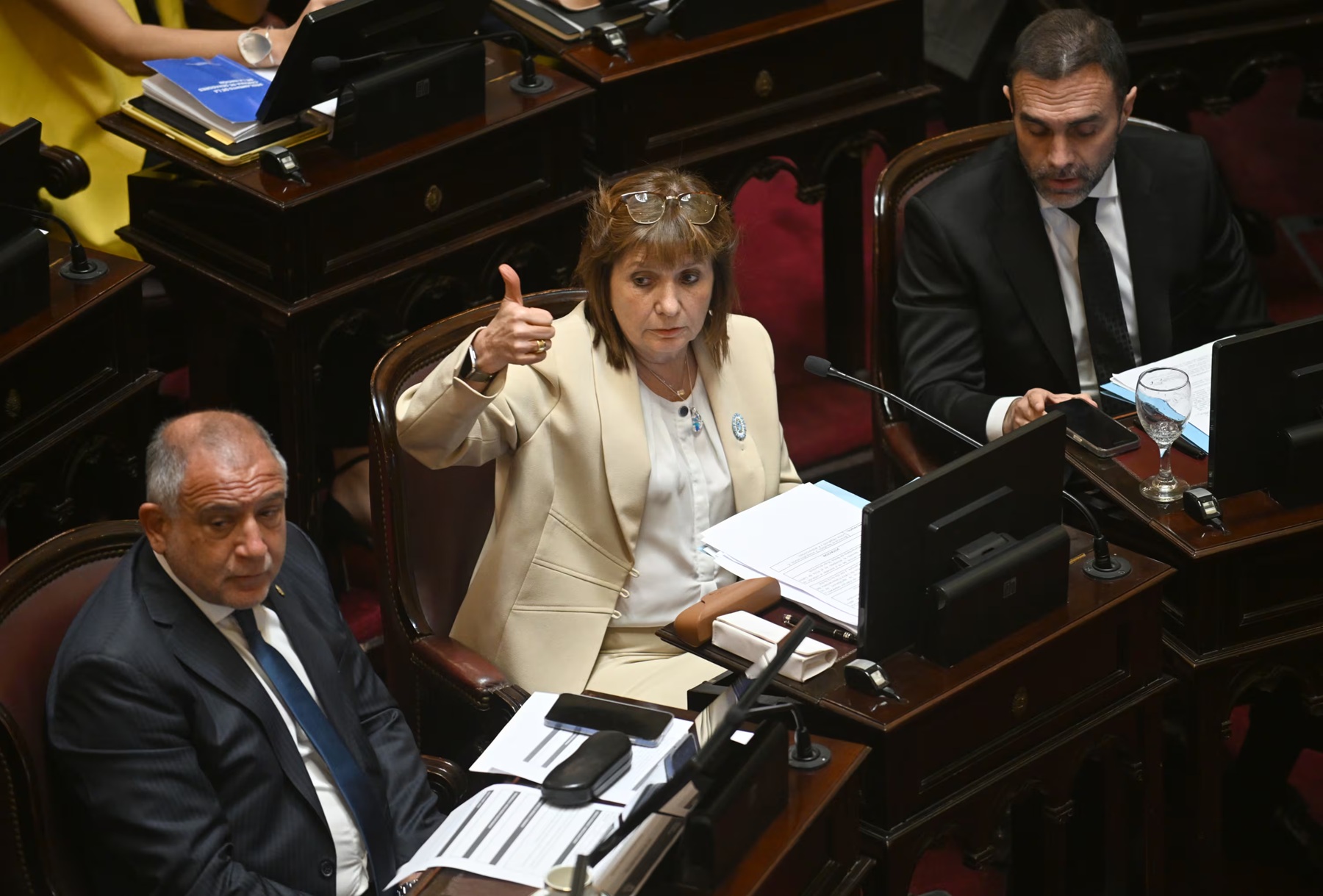 El Senado se prepara para debatir la reforma de la Ley de Salud Mental