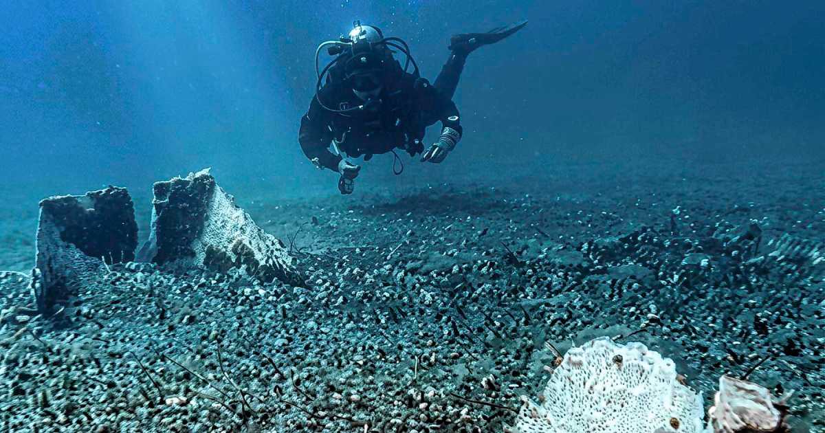 Encuentran una embarcación ancestral mapuche en el lago Llanquihue