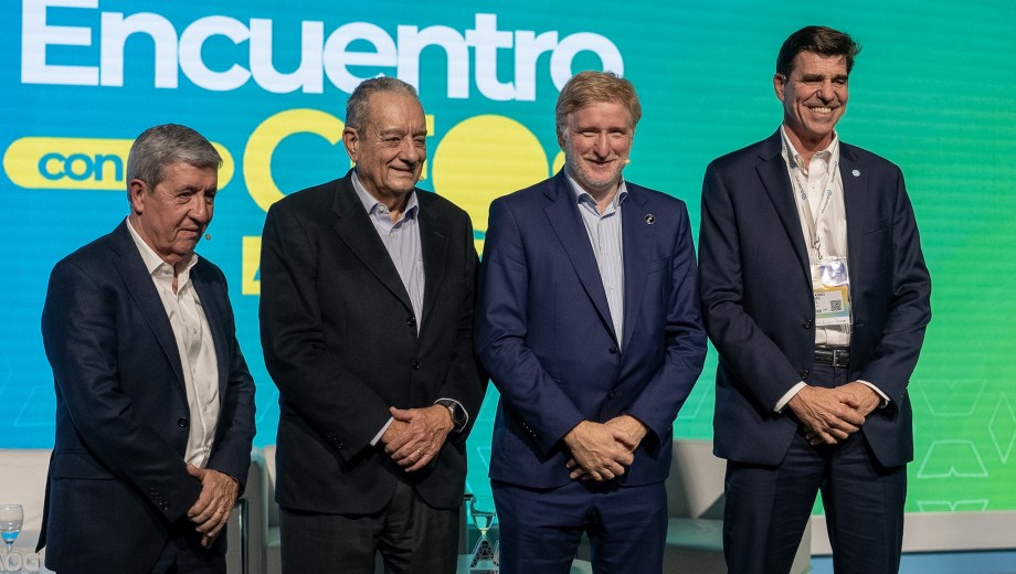 El panel fue moderado por Ernesto López Anadón, presidente del Instituto Argentino del Petróleo y del Gas (IAPG). Foto gentileza.