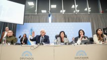Imagen de Diputados retoma el debate del proyecto de Defensa de la Soberanía tras el fallo de la Corte por la Ley de Tierras