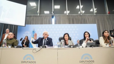 Diputados retoma el debate del proyecto de Defensa de la Soberanía tras el fallo de la Corte por la Ley de Tierras